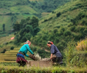 What To See In Vietnam In 7 Days: Explore The Best Of North & South Vietnam In Just One Week