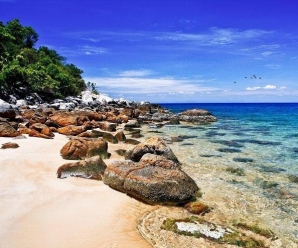 Cham Island: Everything You Need To Know For An Unforgettable Trip