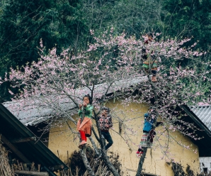 Exploring Vietnam In December: From Northern Chill To Southern Sun