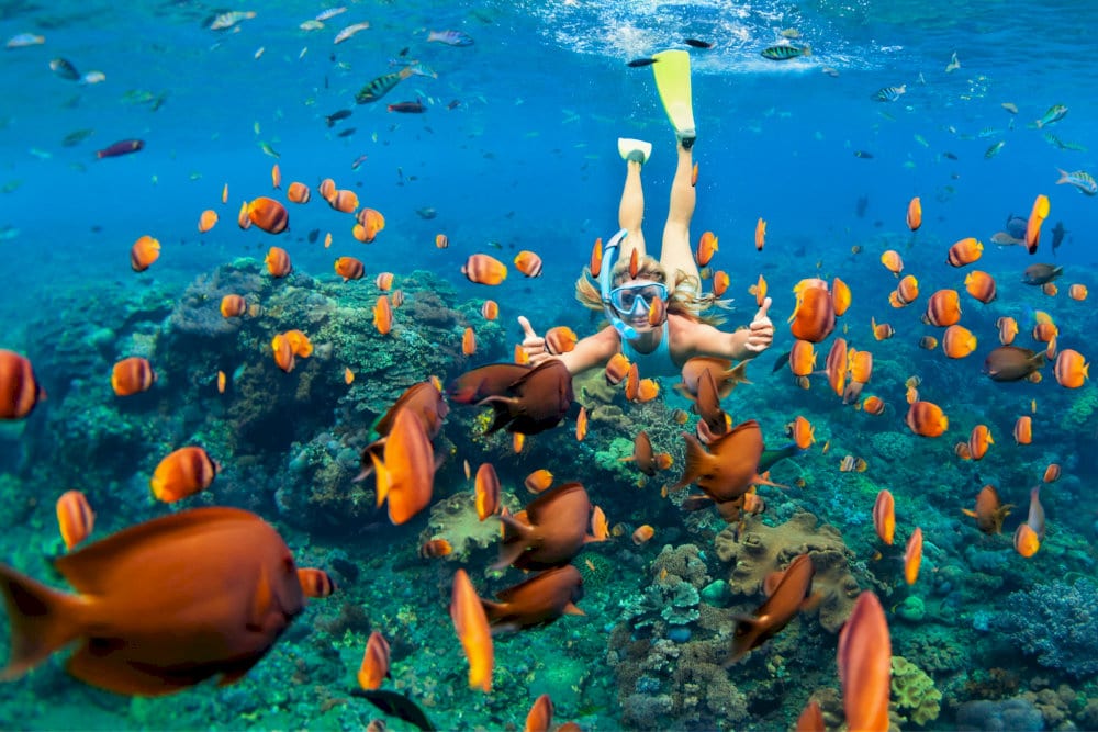 Snorkeling at Bãi Xép Reef is a must-do adventure for nature lovers and thrill seekers alike