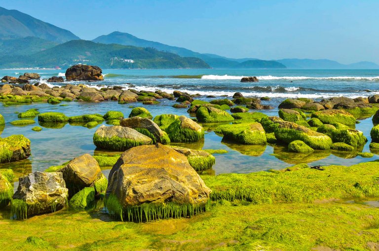 Nature’s masterpiece at Nam O Beach – where mossy rocks meet crystal-clear waves