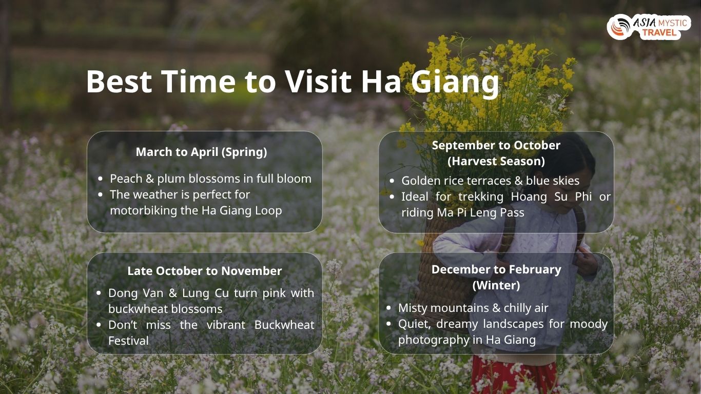 Best Time to Visit Ha Giang