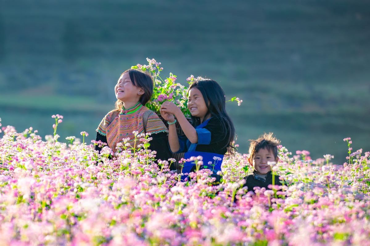 A Hmong child smiles among blooming buckwheat flowers in Hà Giang’s misty highlands