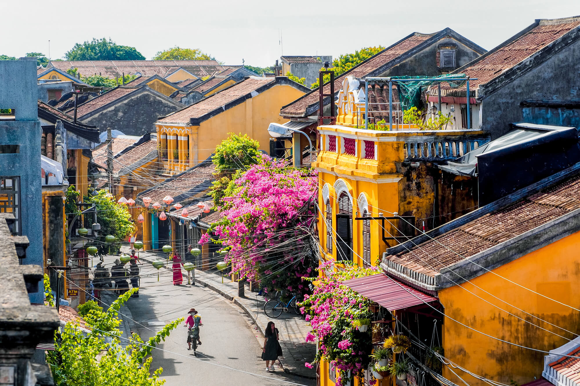 Hoi An's iconic yellow walls with blooming bougainvillea