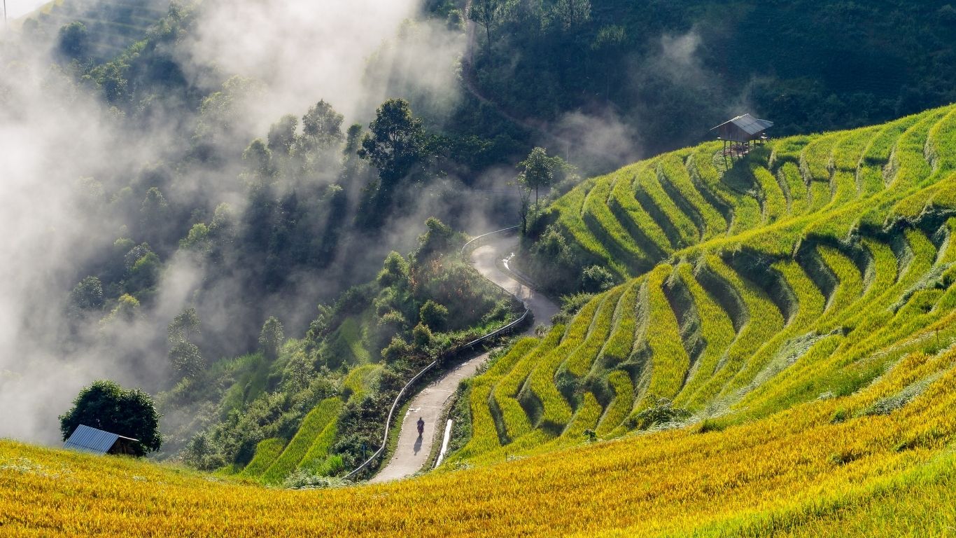 Cloud hunting over terraced rice fields in Mu Cang Chai, Vietnam