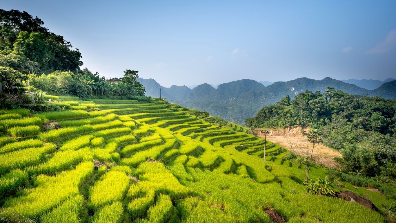 Lush green rice terraces of Pu Luong, Vietnam