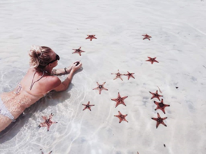 Admire Phu Quoc’s red starfish in shallow waters - look, but don’t touch