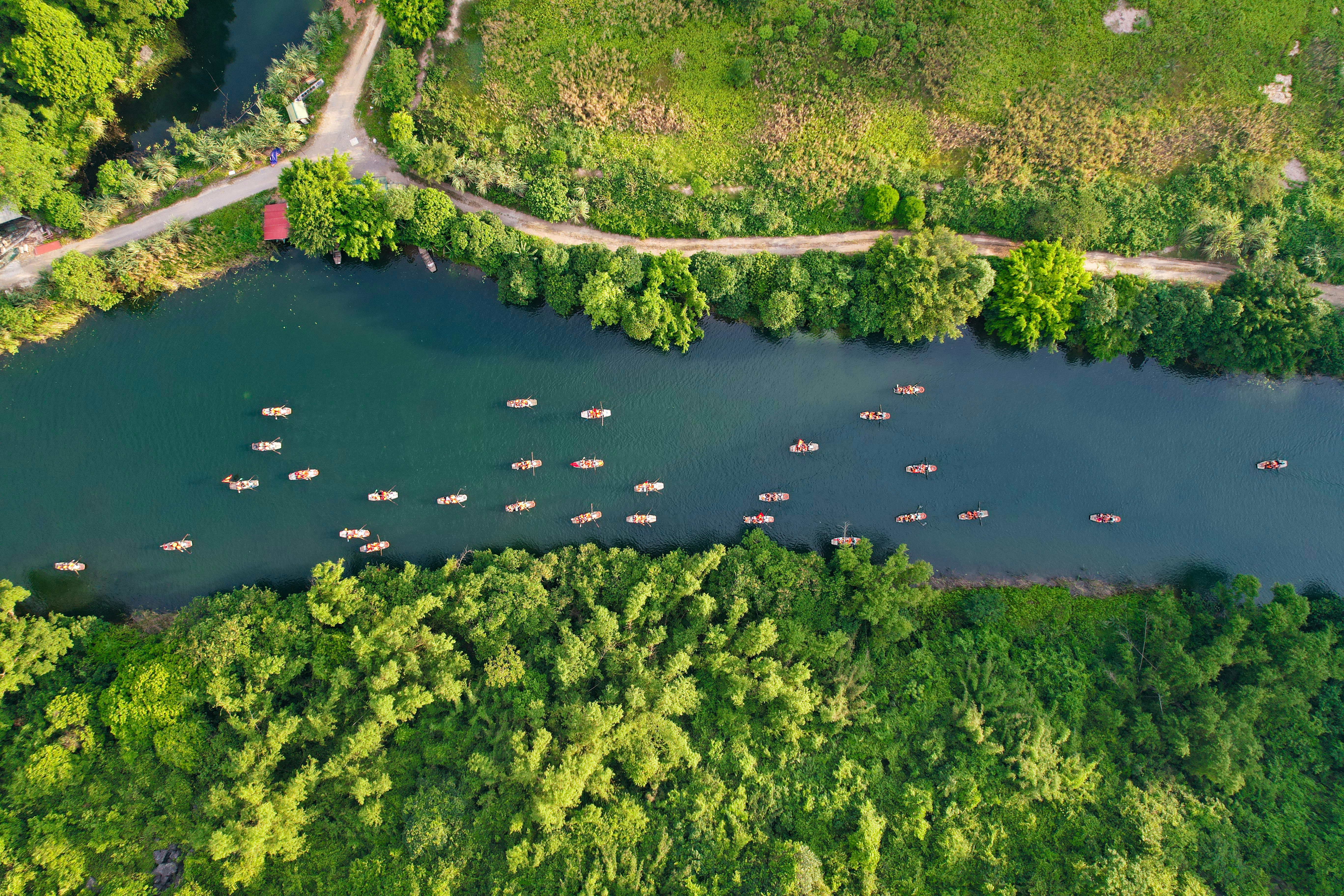 Glide through golden rice fields and limestone peaks on a peaceful boat ride in Tam Cốc