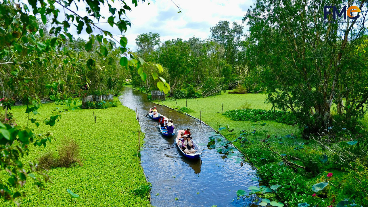 Sampan gliding through duckweed-covered water in Tra Su Cajuput Forest